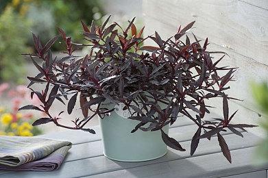 《暗黑破坏神4》PC版性能表现分析：各种配置完美驾驭