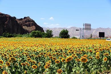 Starbreeze砍掉《龙与地下城》游戏 专注于《收获日》系列